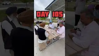 Mini Punjab, Brampton 🇨🇦 Day 105/100 of Daily Vlogs #minivlog