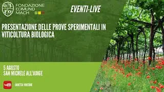 Presentazione delle prove sperimentali in viticoltura biologica