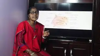 Lecture on Explanatory Questions(Paranasal Air-Sinuses)