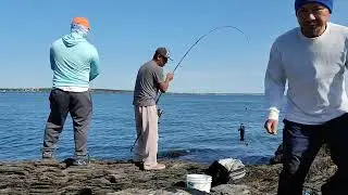 3 BAOTHAITAI On Mission  For Tautog Fish.