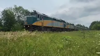 VIA Rail&rsquo;s Train 1 (The Canadian) passing through Udney, ON - August 8, 2021