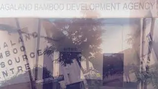 A glimpse of BAMBOO EMPORIUM_______Development Agency
