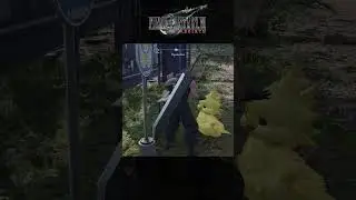 Baby Chocobo Bonding - Final Fantasy 7 Rebirth
