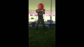 The 