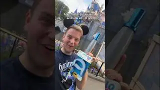 Ключ к Диснейленду!