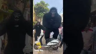 Gorilla dance ￼🦍👌.. #gorilla #gorillaz #dance #viral #funny #comedy #viralreels