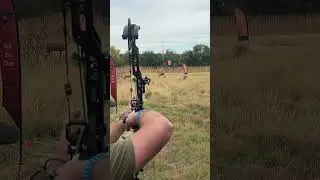 It all comes down to the perfect equation: Timing + Arrow Flight + Target Angle.