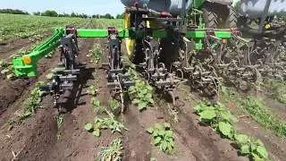 Тест лап просапного культиватора Green Razor 5,6м/ Test shanks Inter Row Cultivator Green Razor 5,6m