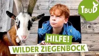 Wer zuletzt lacht (Folge 122) | Tiere bis unters Dach | SWR Plus