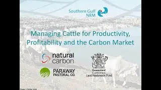 Intro to the Carbon Market - Managing Cattle for Productivity, Profitability and the Carbon Market