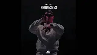 Maes - PROMESSES (EXCLU IA)