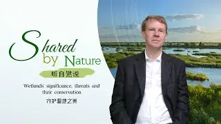 Shared by Nature: Wetlands &ndash; significance, threats, conservation