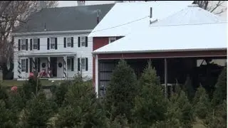 BULLOCK FARMS CHRISTMAS TREE FARM CREAM RIDGE NEW JERSEY