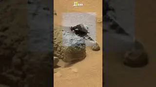 Mars Rover Captures Mysterious Creature on the surface of Mars? #shorts #mars #perseverance_images