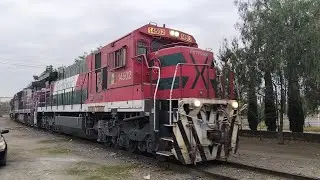 Un trio de súper 7 tempranito para el patio ttp