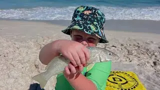 Обзор простой рыболовной оснастки &mdash; как оснастка Vexed Kids Rig позволит вам быстро начать рыбалку.