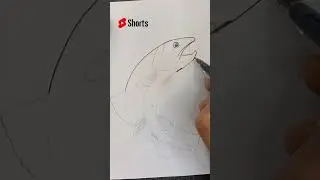 How to Draw Salmon #shorts