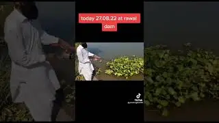RAWAL DAM FISHING | CARP FISHING IN DAM | FISHING&VLOGS