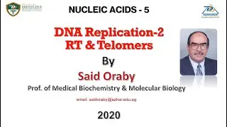 L 5  DNA Replication 2 By Said Oraby