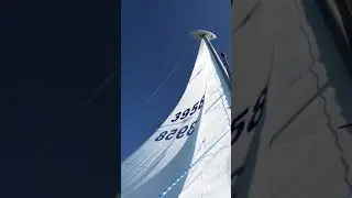 New sails for my Capri 14.2