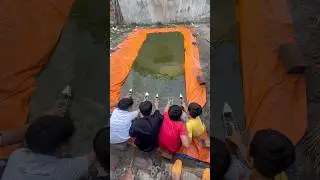 1 ghe bo bo chữ U đấu với 4 ghe bo bo b&igrave;nh thường sẽ như thế n&agrave;o? #shortvideo