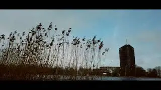 Imants Ziedonis- &Scaron;ajā pasaulē