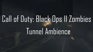 Tunnel Ambience (TranZit/Green Run) - Call of Duty: Black Ops II Zombies