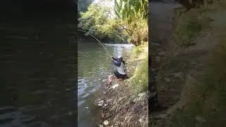 Mancing Di sungai Brantas.. Mantapppp!!!!!  Malang Jatim Sukonolo Lumbang krebet