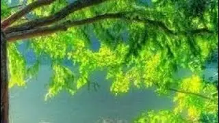 Nature HD Wallpaper New Design/Wall Stickers Designs/Wallpaper Design 2021/Living Room/Bedroom