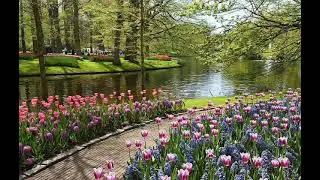 SECRET GARDEN - ADAGIO