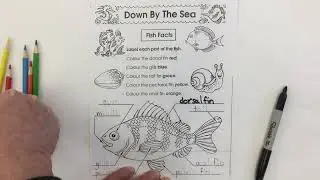 Fish worksheet label parts of a fish