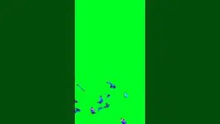 butterfly green screen #shorts #youtubeshorts