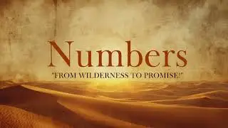 Numbers: From wilderness to promise!
