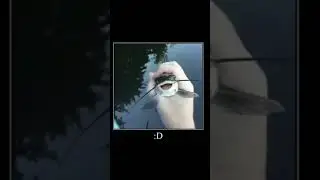 Happy fish meme :D