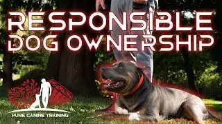 Be A Responsible Dog Owner! Not just A Provider....
