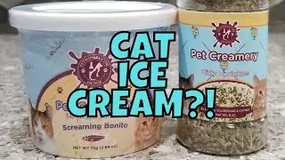 Cats Try Cat-Friendly Ice Cream by Pet Winery #shorts