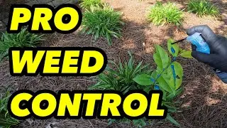 How Do Pro Lawncare Companies Control Weeds In Natural and Bed Areas?