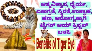 Tiger Eye Crystal Benefits/For Concentration, Stability, Confidence, Money