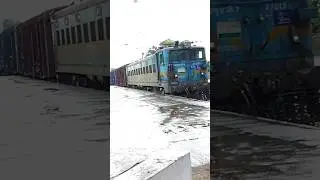 WAG7 Goods Loco 😲😨😲 #shorts #viral #short #viralvideo