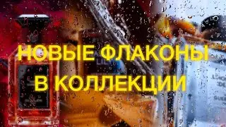 ПАРФЮМЕРНЫЕ ПОКУПКИ ЯНВАРЯ