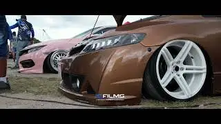 Stance - Cars Panam&aacute;