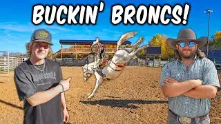 The CREEKBEND BOYZ BUCK PRO RODEO BRONCS!