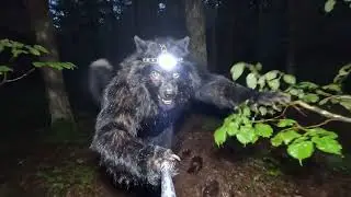 Werewolves from all over the world are searching Bigfoot in the deepest forests.