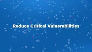 VMDR with TruRisk and Patch Management - Demo