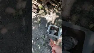 Как сварить суп из ротора от стартера. ))) #суп #ротор #стартер