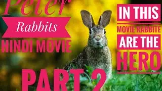 khargosh ki kahani (Part 2) Hollywood dubbing Hindi |Best movie|Peter rabbit#hollywoodmovies