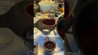 Canning plum jam with the Ball jelly and jam maker #jams #indiana #homestead