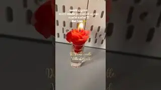 😍 റോസ് candle without mould❤️🌹 #diy  #craft #shorts