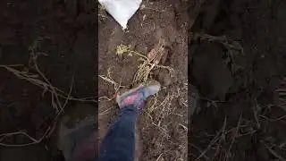 video 2024 01 12 01 32 13