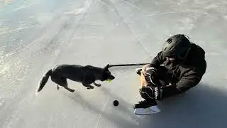 Ice 2025